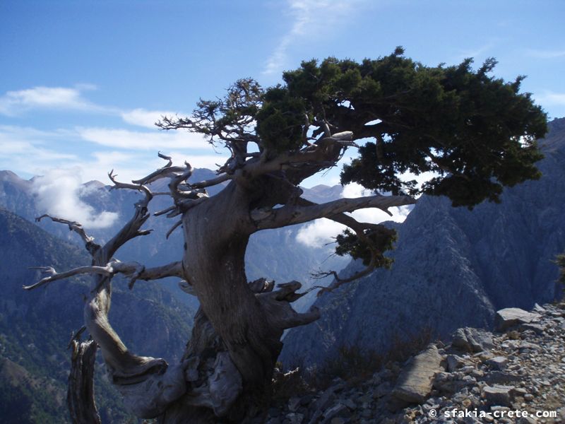 Photo report of a visit to Sfakia, Crete in October 2008